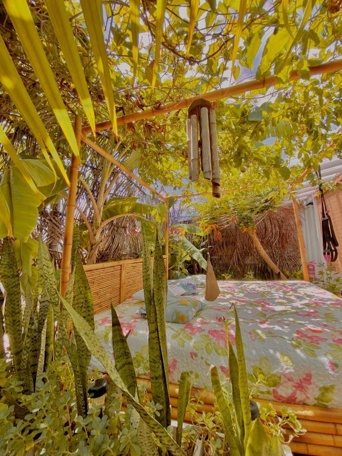 فندق Casa Luz - فرناندو دي نورونها المظهر الخارجي الصورة