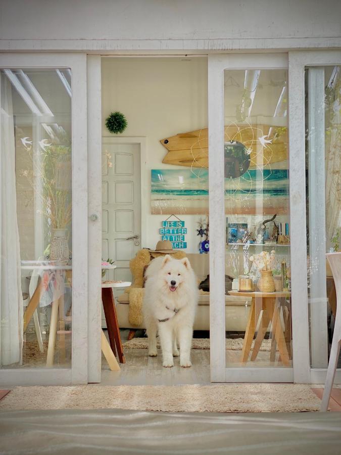 فندق Casa Luz - فرناندو دي نورونها المظهر الخارجي الصورة